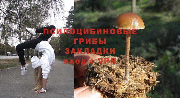гашик Аркадак