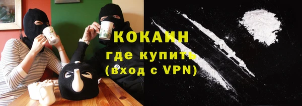 твердый Арсеньев