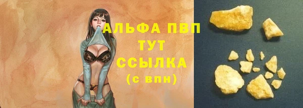 твердый Арсеньев