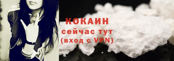 твердый Арсеньев