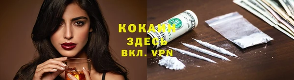 твердый Арсеньев