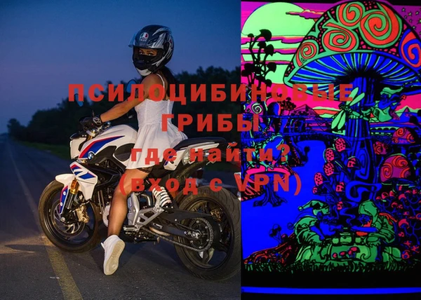 гашик Аркадак