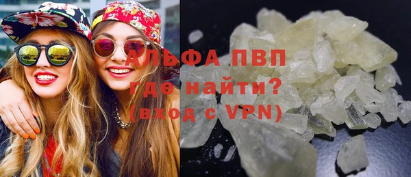 твердый Арсеньев