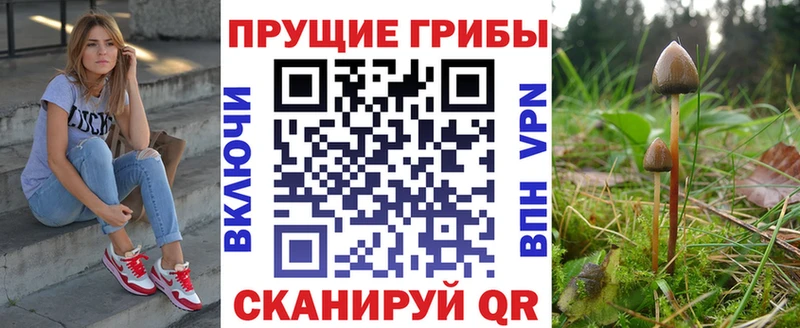 как найти наркотики Сусуман Псилоцибиновые грибы Magic Shrooms